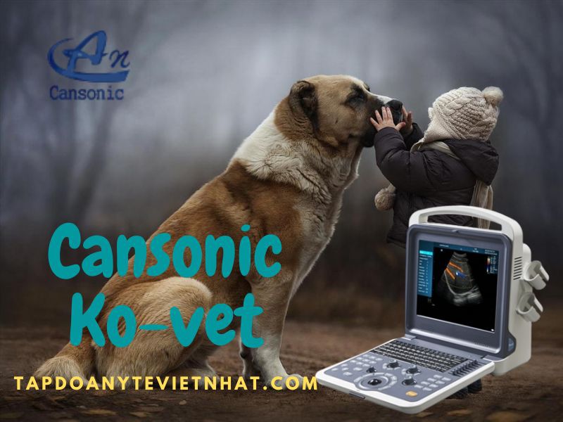 Mẫu máy siêu âm Cansonic K0 Vet
