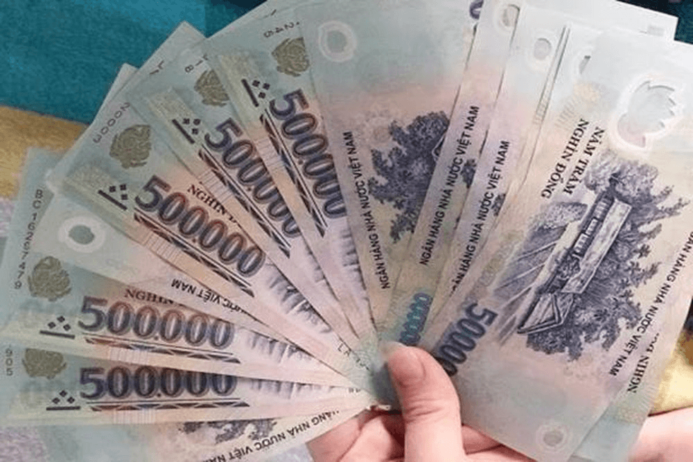 Chi phí của máy soi tai mũi họng bao nhiêu?
