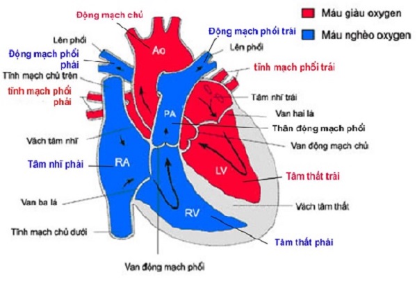 Kết quả tìm kiếm từ khóa 