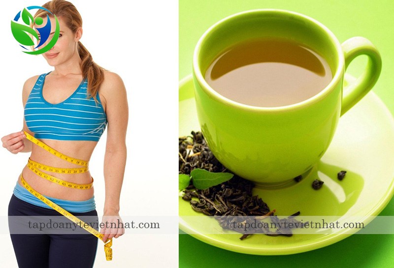  Trong trà xanh có chất giúp làm tiêu đi những mô mỡ thừa trong cơ thể