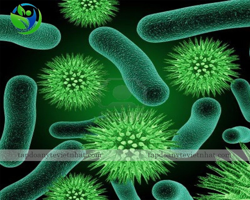 Vi khuẩn thường gây bệnh viêm xoang cấp tính