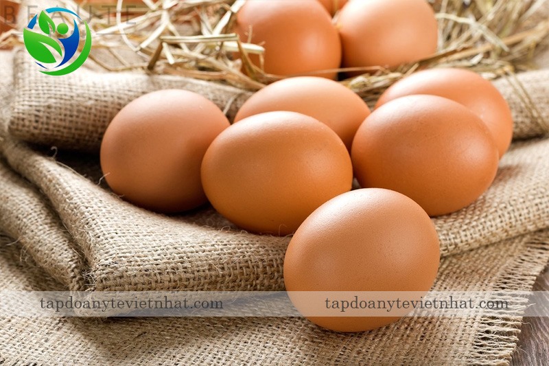 Ăn nhiều trứng giúp dạ dày của chó dễ chịu