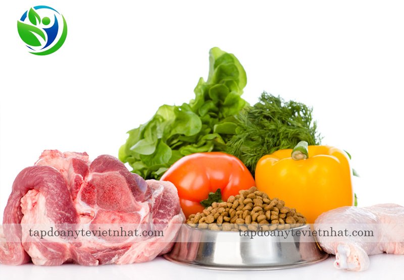 Thịt và rau xanh tốt cho thú cưng