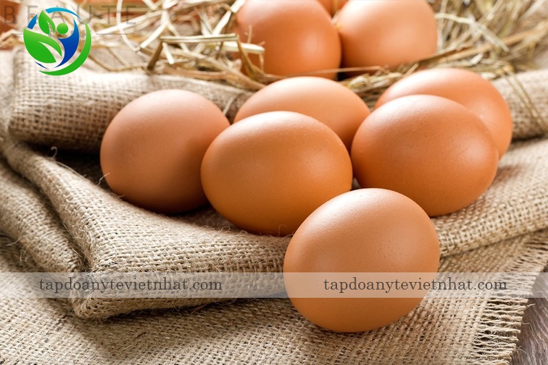 Trứng cung cấp dưỡng chất cho chó
